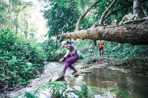 BIB: 
                            <button type="button" onclick="openModal(25434255)" class="btn btn-primary btn-sm float-right btn-popup" data-toggle="modal" data-target=".modal-high-quality">
                        <i class="fas fa-shopping-cart"></i> Add to Cart
                    </button>
                                            <button type="button" onclick="isThisMe(25434255, true)" class="btn btn-success btn-sm float-right btn-popup btn-isme hidden" data-toggle="tooltip" data-placement="bottom" title="นี่คือรูปของคุณใช่ไหม คลิกที่นี่เพื่อเอาเข้าอัลบั้ม">
                        <i class="fas fa-plus"></i> Add to album
                    </button>
                    <button type="button" onclick="isThisMe(25434255, false)" class="btn btn-warning btn-sm float-right btn-popup btn-isnotme hidden">
                        <i class="fas fa-ban"></i> Remove from album
                    </button>